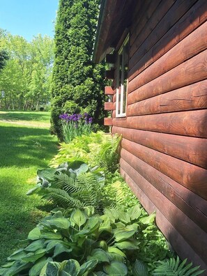 Una cabaña de madera con un jardín lleno de plantas y flores.