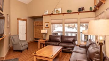 Tv, eldstad och dvd-spelare