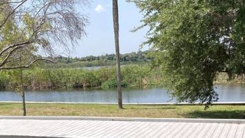 A wooden deck overlooking a calm body of water with trees and a clear sky.