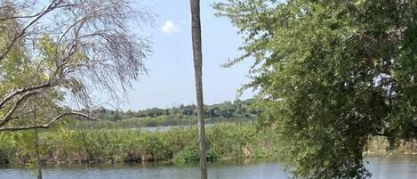 Terrain de l’hébergement
