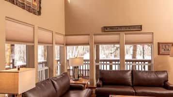 Televisión, chimenea y reproductor de DVD