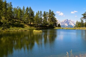 Miscellaneous - Maison Dolce Vento (Oulx)