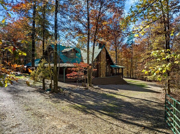 Image sans description, 1 de 74, bouton