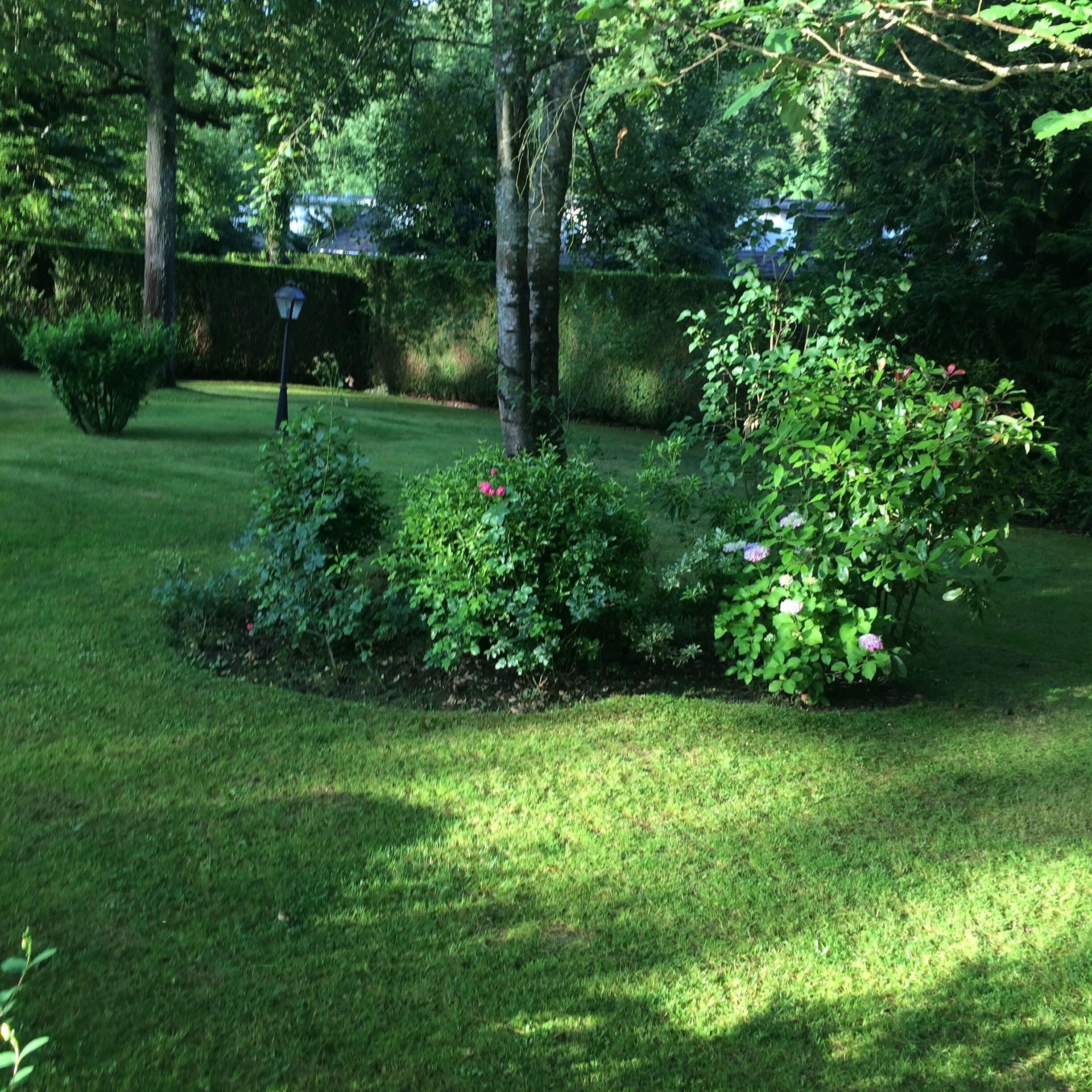 Parco della struttura