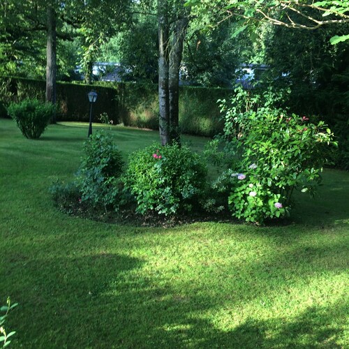 Green house for rent