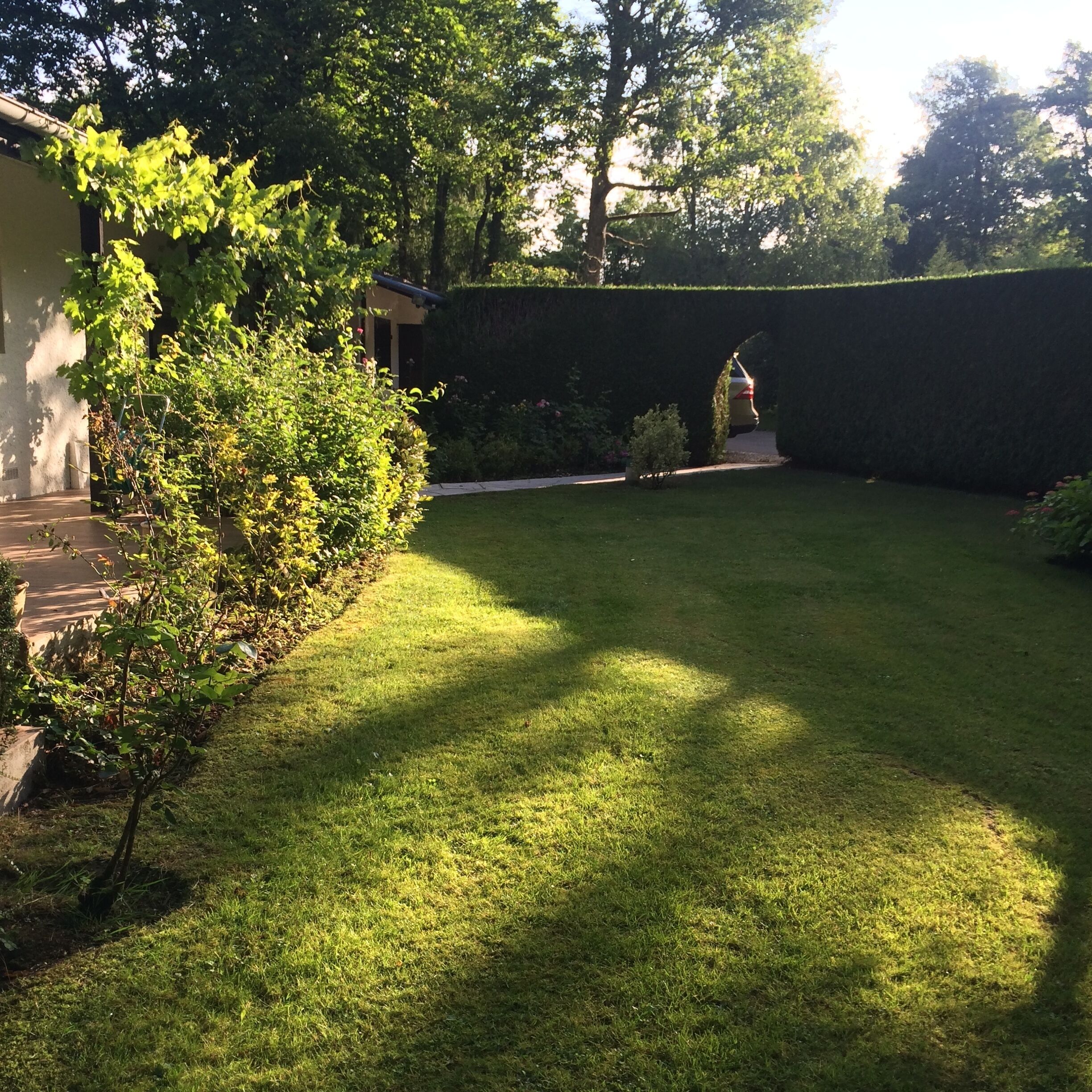 Área da propriedade