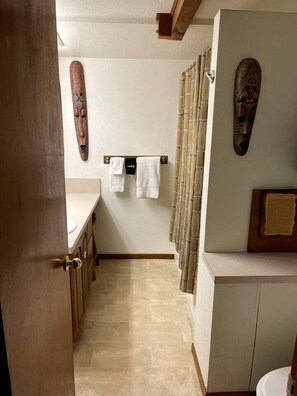 Hair dryer, towels