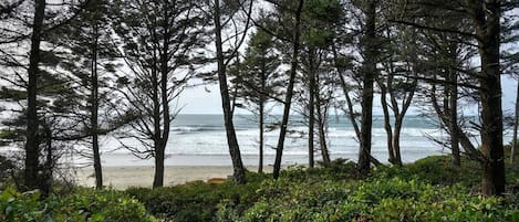 Playa en los alrededores, paseos en velero, kayaks y pesca