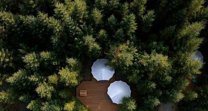 Large and Spacious Double Bell Tents Great for Families in Carson, Washington