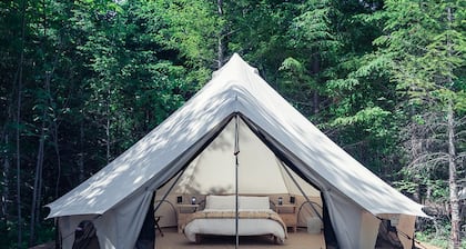 Carson Glamping Escapes in this Wonderful Bell Tent Rental in Washington