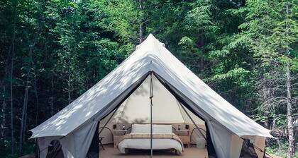 Carson Glamping Escapes in this Wonderful Bell Tent Rental in Washington