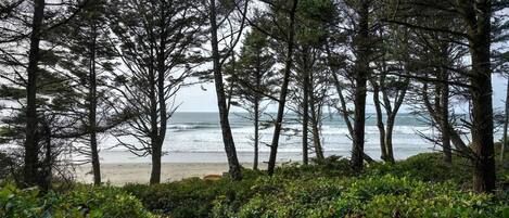 Beach nearby, surfing, fishing