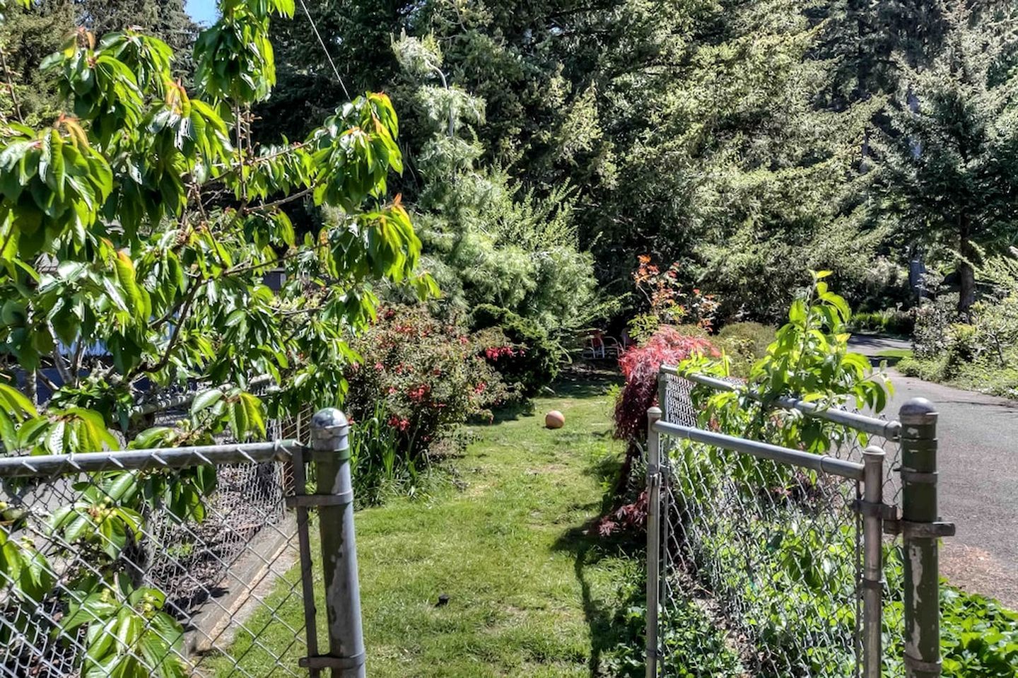 Un jardín cercado con diversas plantas y un sendero.