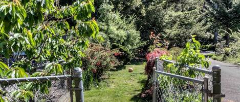 Un jardín cercado con diversas plantas y un sendero.