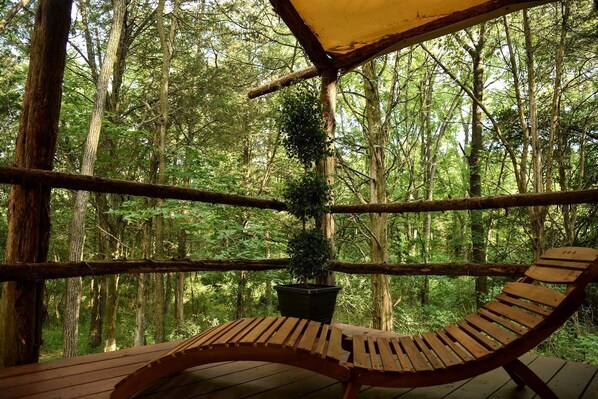 Terrein van de accommodatie