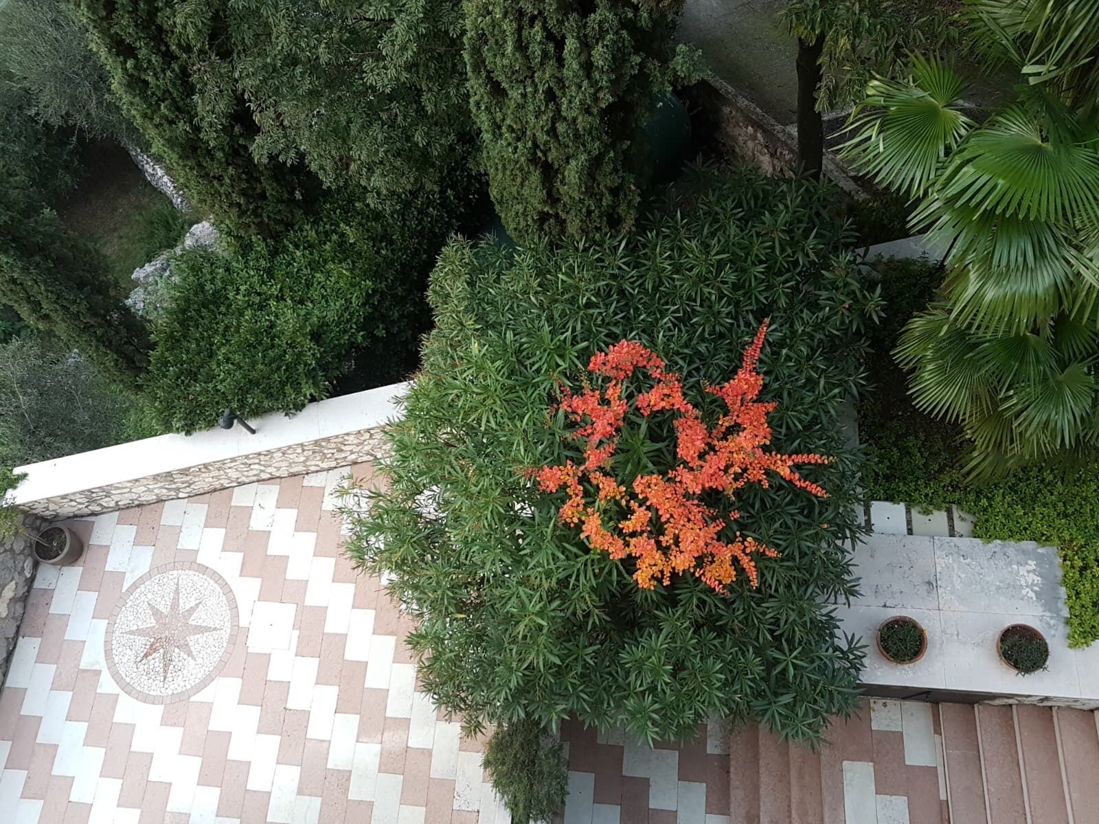 Parco della struttura