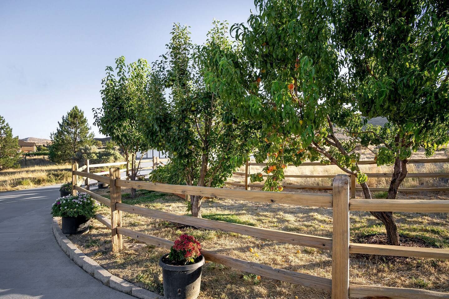 Jardines del alojamiento