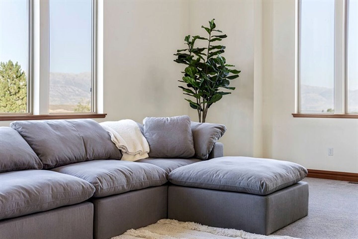 Ein modulares Sofa in neutralen Farben, eine große Topfpflanze und ein Blick ins Freie durch große Fenster.