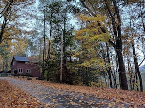 A rustic cabin surrounded by trees with autumn leaves. - Beautiful Cabin with Hot Tub Surrounded by Trees in Confluence, Pennsylvania (Confluence)