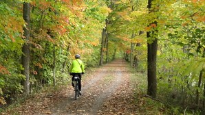 A person riding a bicycle on a leaf-covered path surrounded by trees. - Beautiful Cabin with Hot Tub Surrounded by Trees in Confluence, Pennsylvania (Confluence)