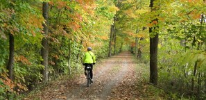 A person riding a bicycle on a leaf-covered path surrounded by trees. - Beautiful Cabin with Hot Tub Surrounded by Trees in Confluence, Pennsylvania (Confluence)