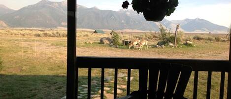 Enceinte de l’hébergement