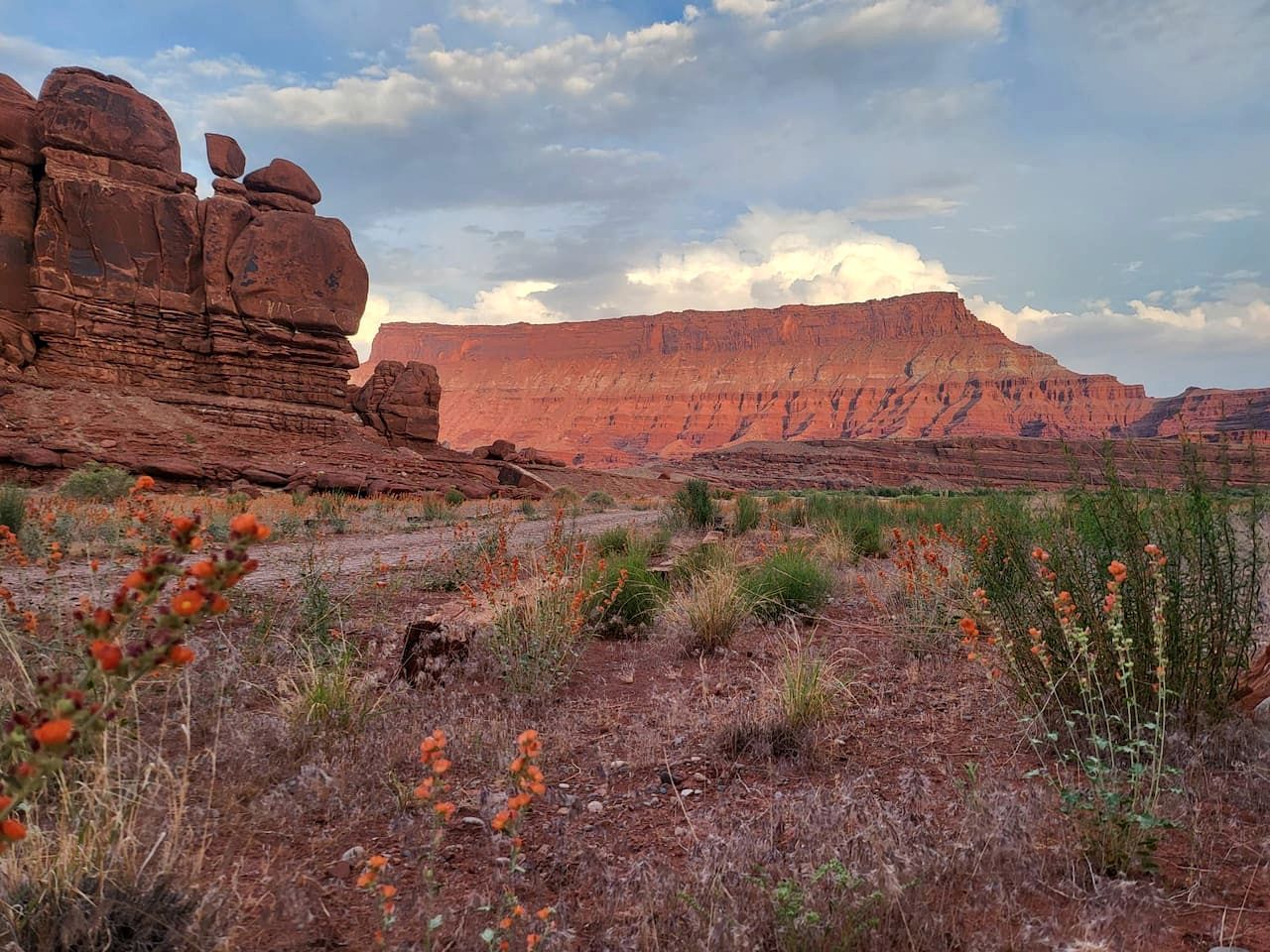A desert landscape with red rock formations and sparse vegetation.