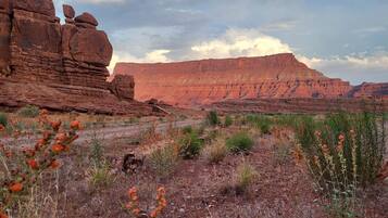 A desert landscape with red rock formations and sparse vegetation.