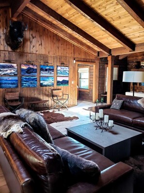 电视、壁炉、DVD 播放器