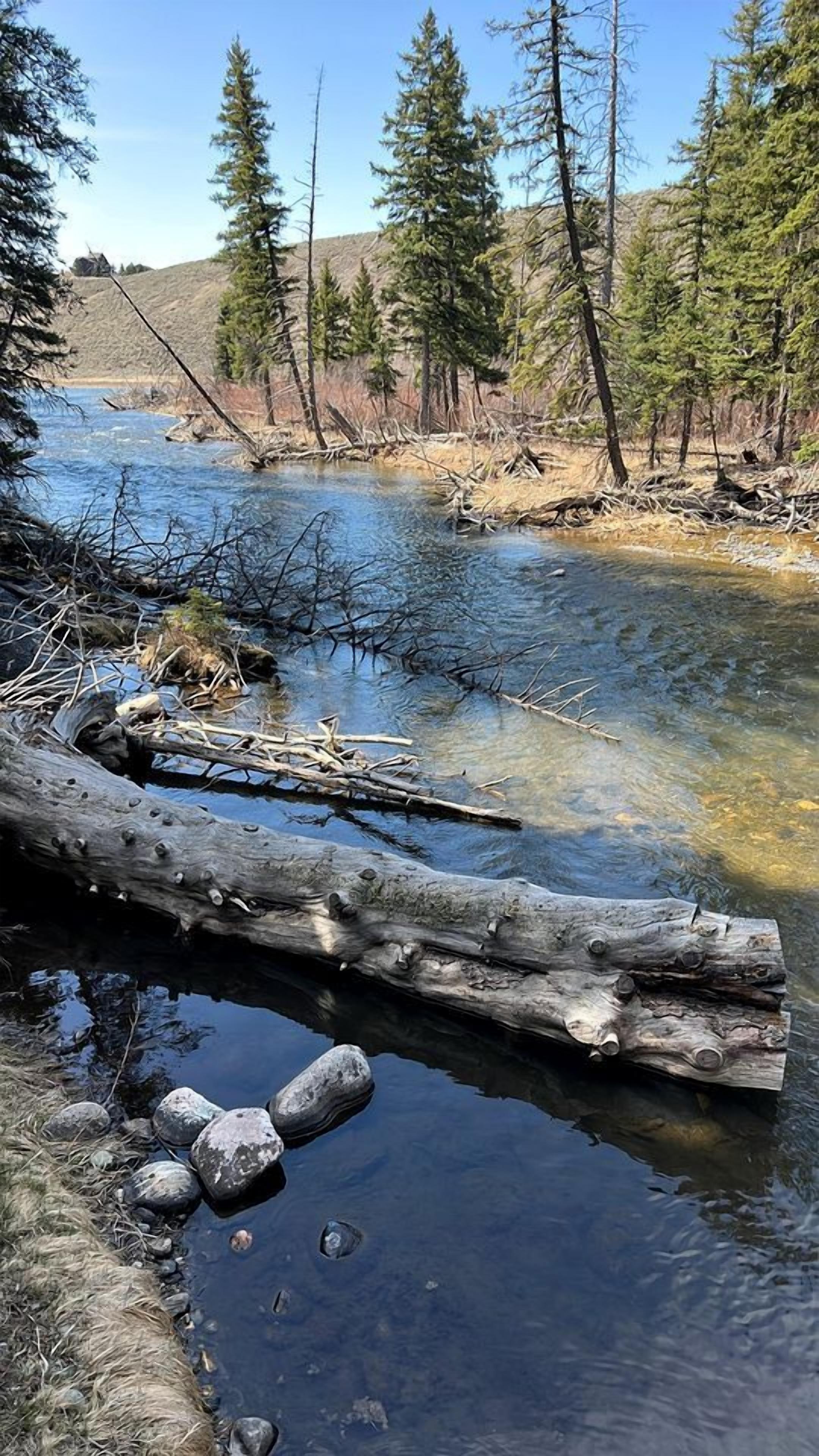 A river with clear water, surrounded by trees and rocks.