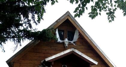 Charming Log Cabin with Mountain Views near Trails in Pony, Montana