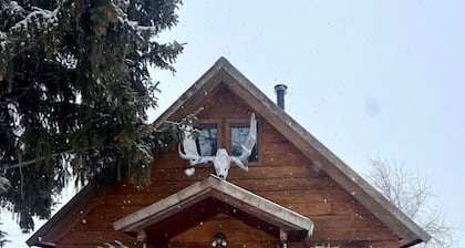 Charming Log Cabin with Mountain Views near Trails in Pony, Montana