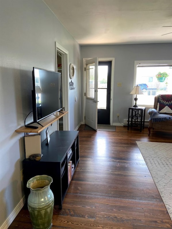 Fernseher