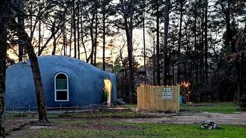 A dome-shaped structure with a window, surrounded by trees.