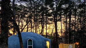 Una estructura en forma de cúpula con la leyenda 'THE DOME HOME' en un área boscosa, con un primer plano de césped y árboles al fondo.