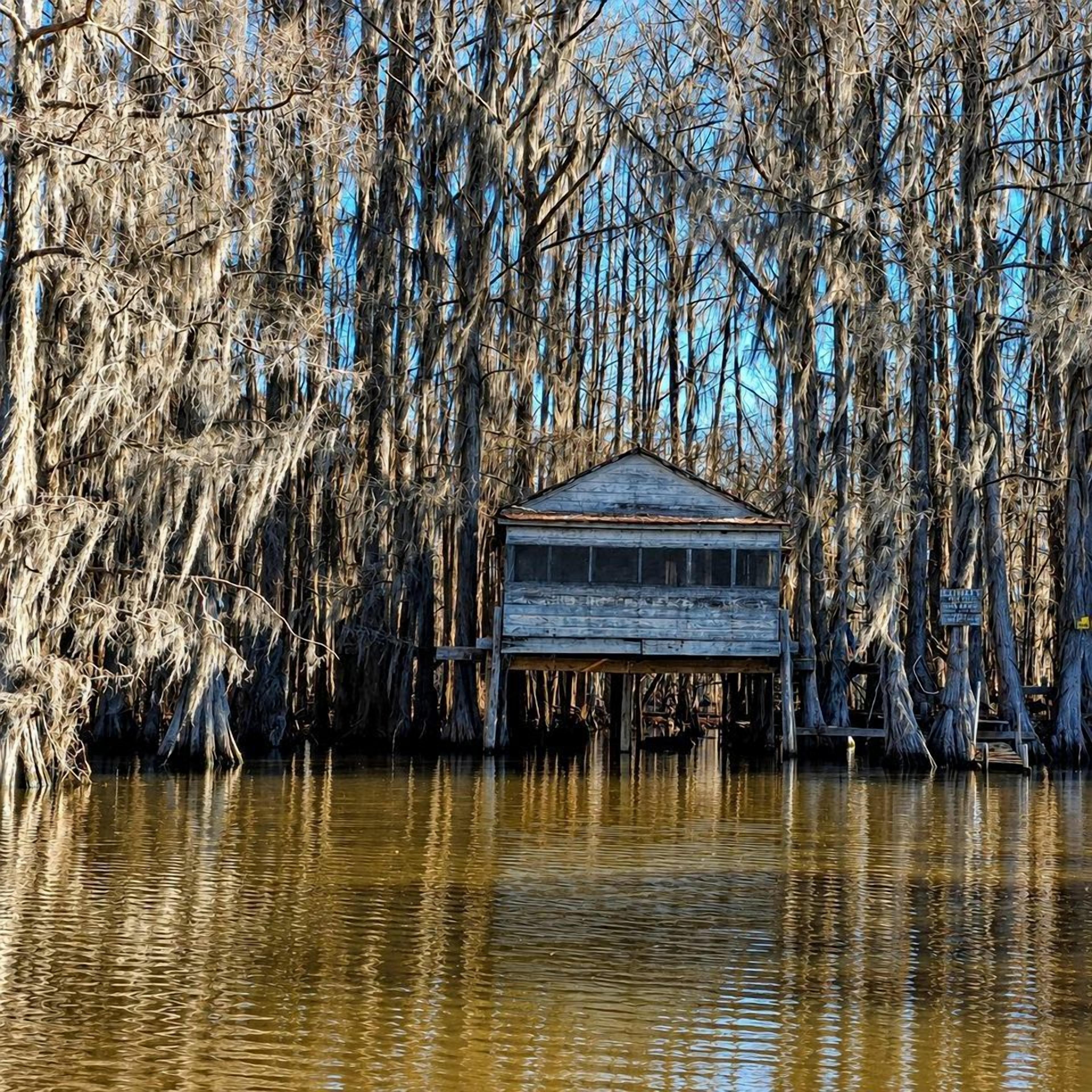 Une structure en bois dotée d’un toit à pignon, entourée d’eau et surplombée de branches.