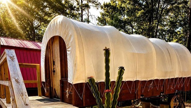 Un chariot couvert avec une plateforme en bois et un cactus.