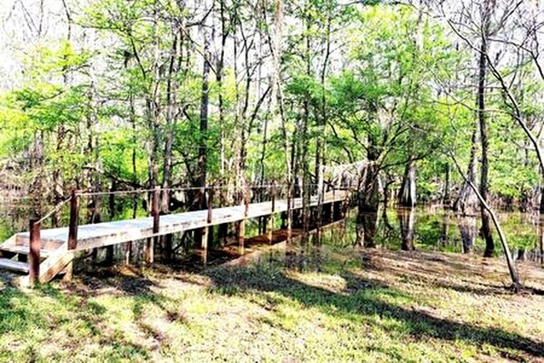 A wooden bridge over a body of water surrounded by trees.