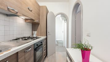 Fridge, oven, stovetop, electric kettle