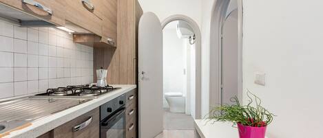 Fridge, oven, stovetop, electric kettle