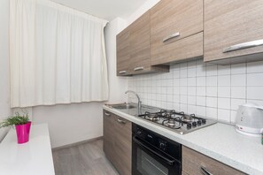 Fridge, oven, stovetop, electric kettle