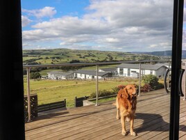 Un perro sobre una cubierta de madera con vistas a casas y colinas al fondo.