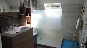 Shower, hair dryer, toilet paper