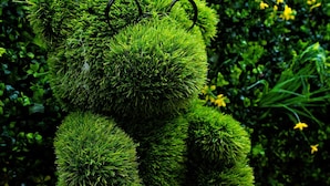 A green bear-shaped object with a black ring on its head, placed on a wooden surface. - Éveil en blanc - Private Jacuzzi & cotton comfort (Verdun)