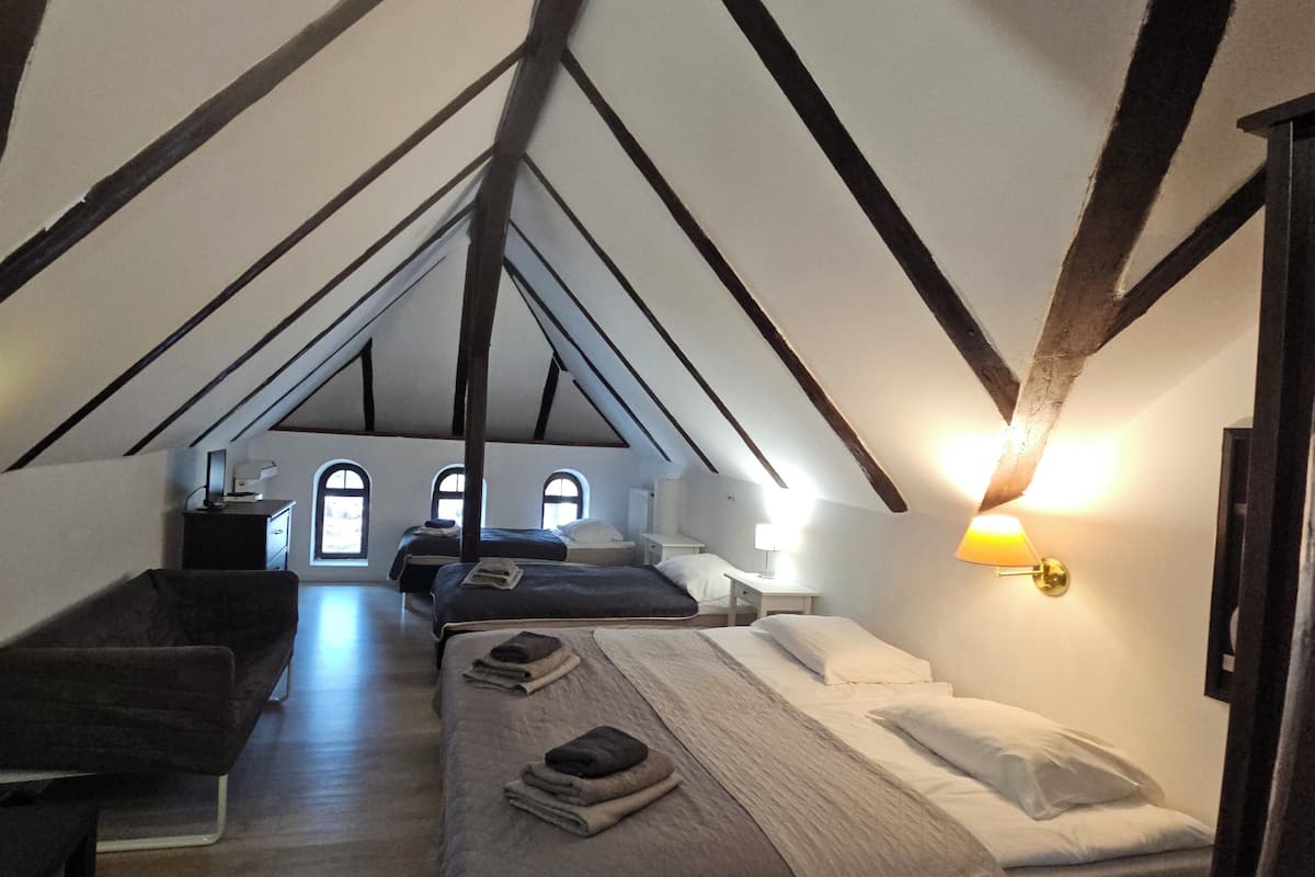 Hypo-allergenic bedding, desk, laptop workspace, iron/ironing board