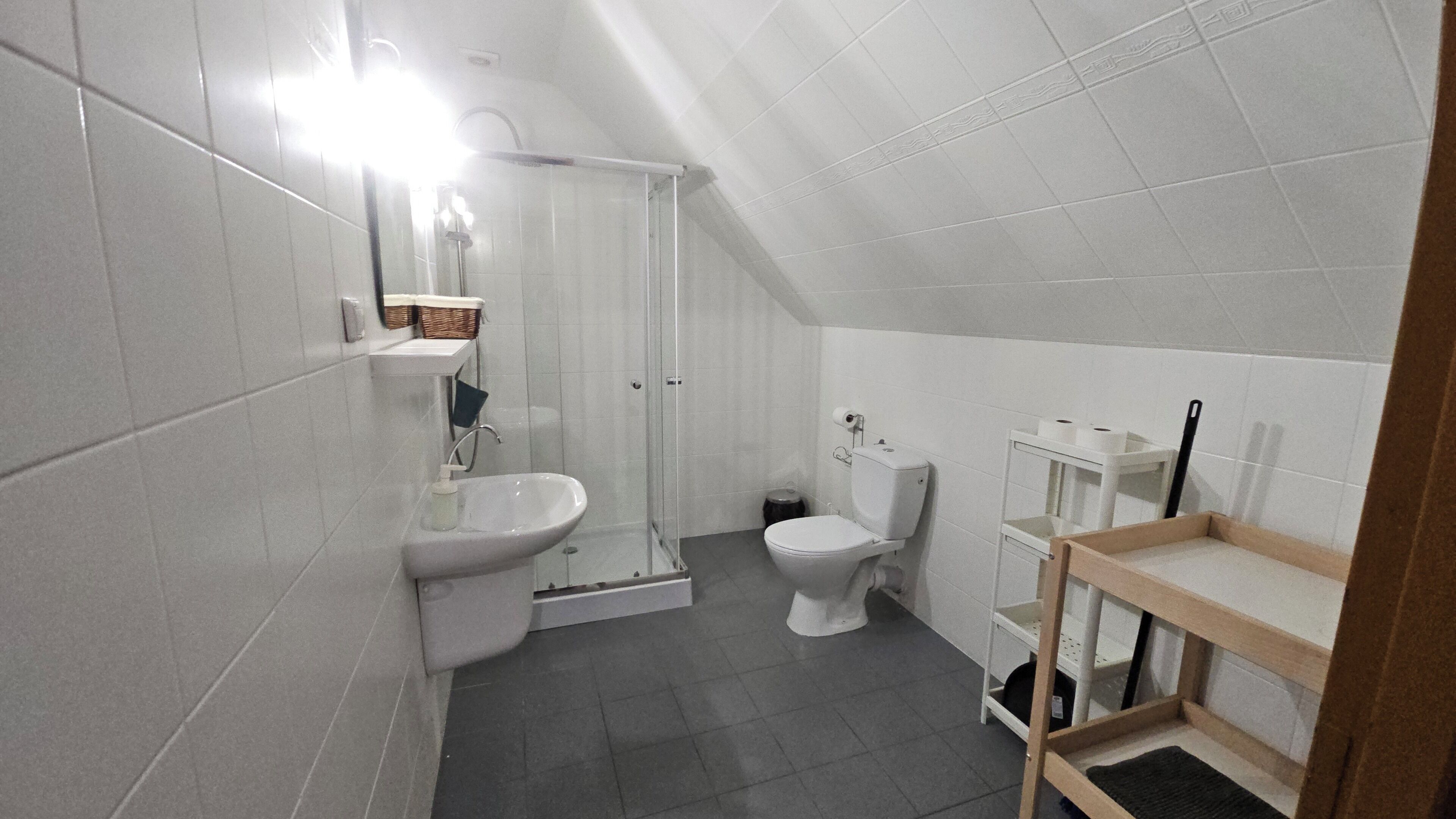 A small, modern bathroom with a shower, toilet, and sink.