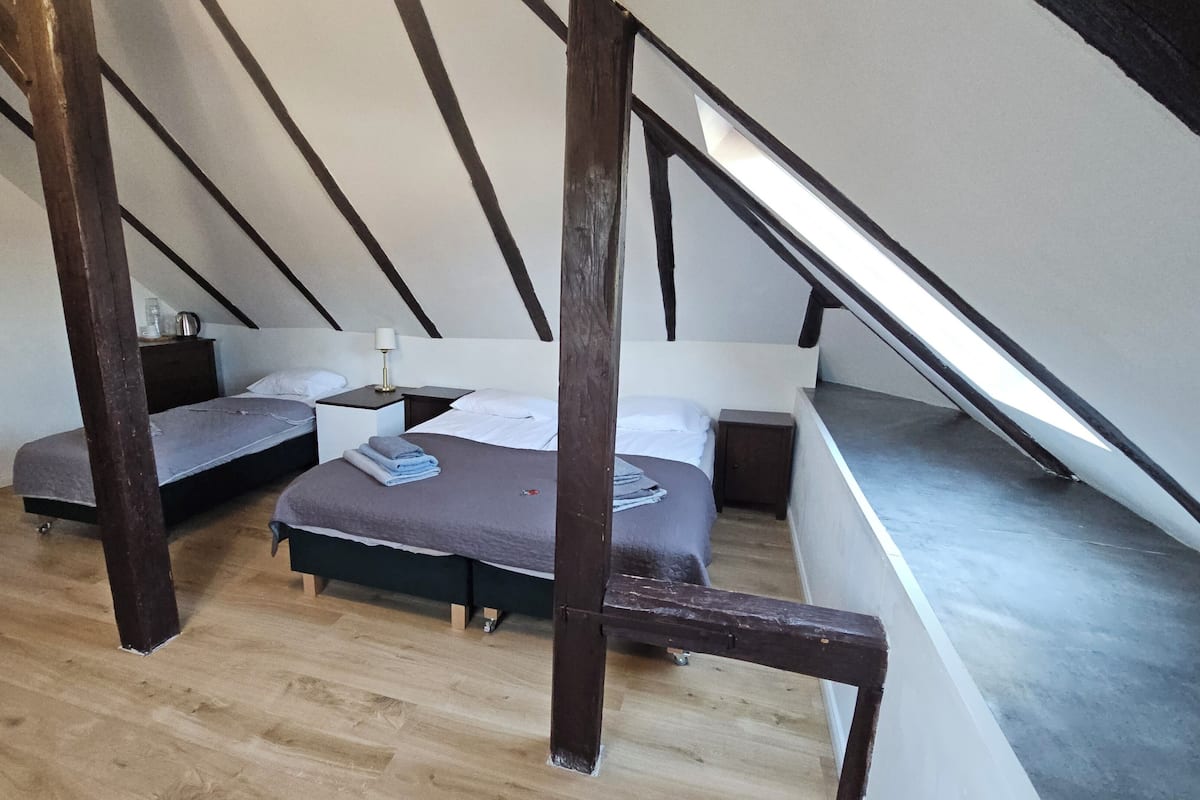 Hypo-allergenic bedding, desk, laptop workspace, iron/ironing board