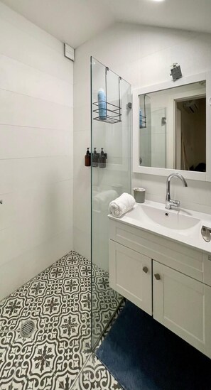 Regadera y secadora de cabello 