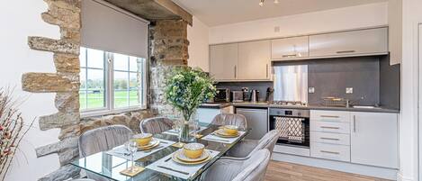 Familienapartment, 3 Schlafzimmer, Nichtraucher, Flussblick | Eigene Küche