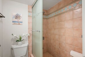A bathroom with a toilet, a glass-enclosed shower, and a wall-mounted toilet paper holder.